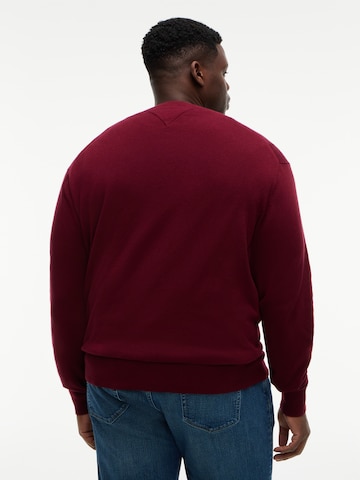 Tommy Hilfiger Big & Tall Sweater in Purple