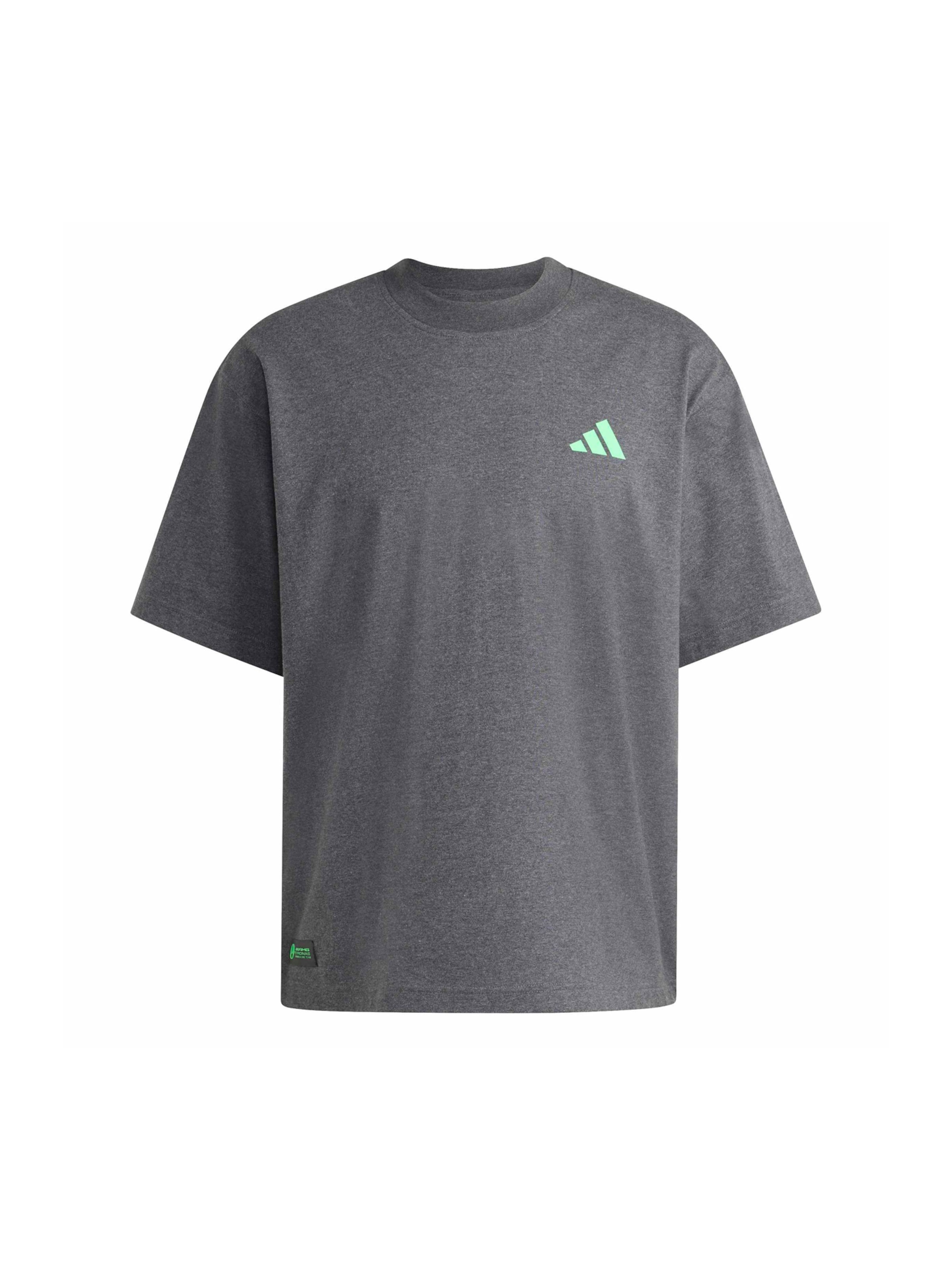 T-Shirt fonctionnel 'Mercedes - AMG Petronas Formula One Team' ADIDAS PERFORMANCE en gris : devant