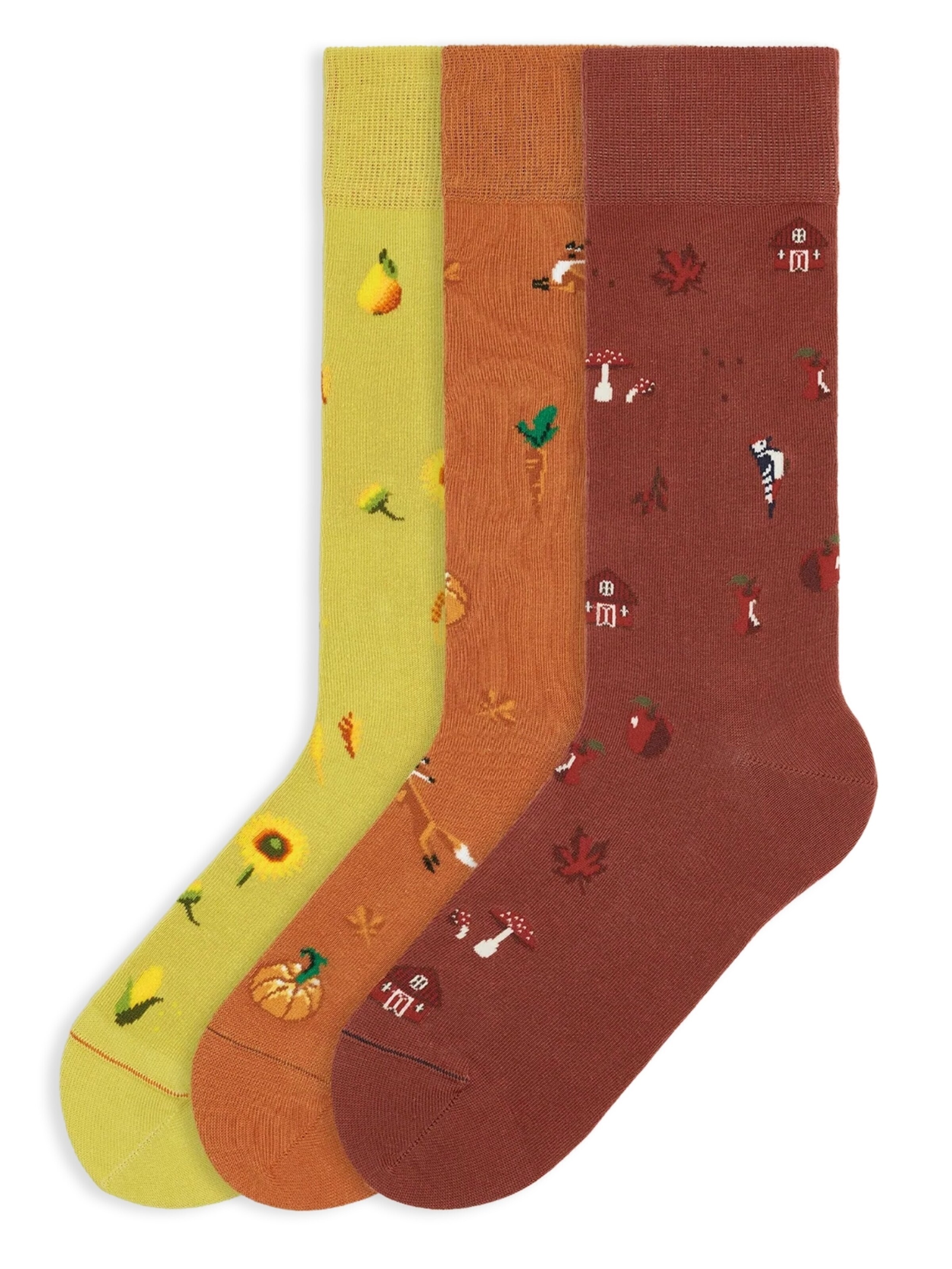 Von Jungfeld Socks 'Icons Socken-Set' in Brown: front