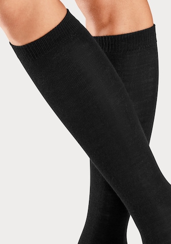BENCH Knee High Socks in Black