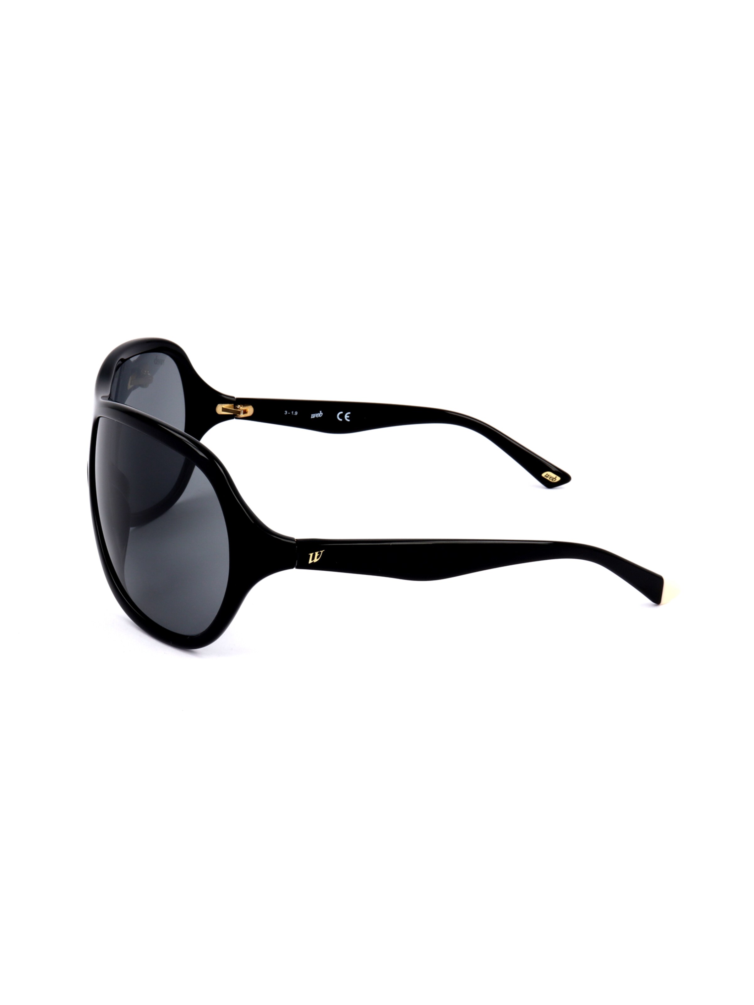 Occhiali da sole 'WE0290' di Web Eyewear in nero