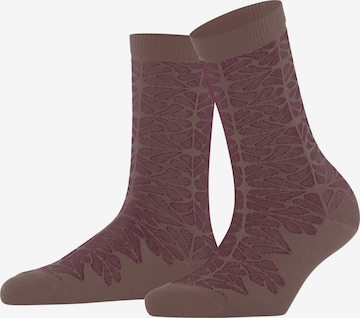 FALKE Socken 'Tile Impact' in Braun: Vorderseite
