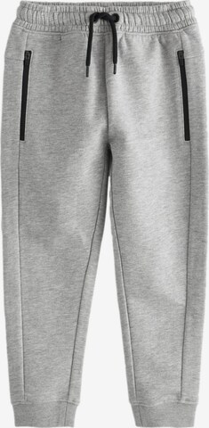 Next Funkcionalne hlače | siva barva: sprednja stran