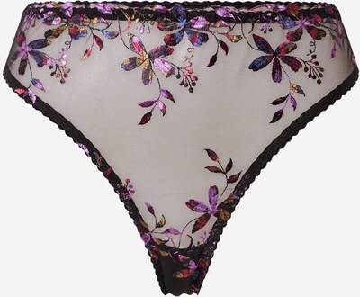 Aurore Lingerie String 'Peonia' in lila / pink / schwarz, Produktansicht
