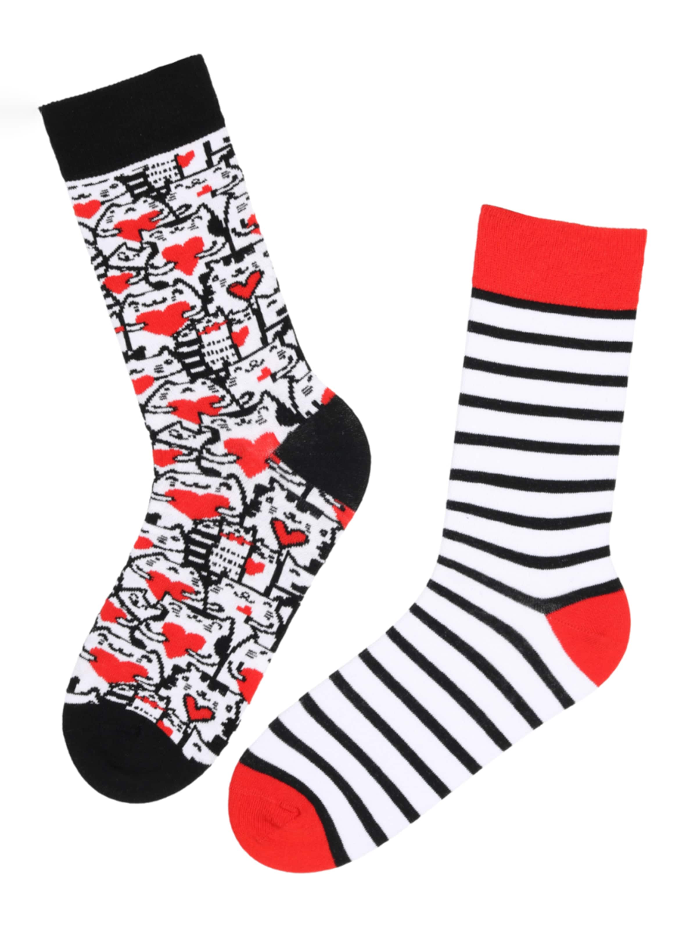 Sokisahtel Socks 'PURRFECT LOVE' in Mixed colours: front