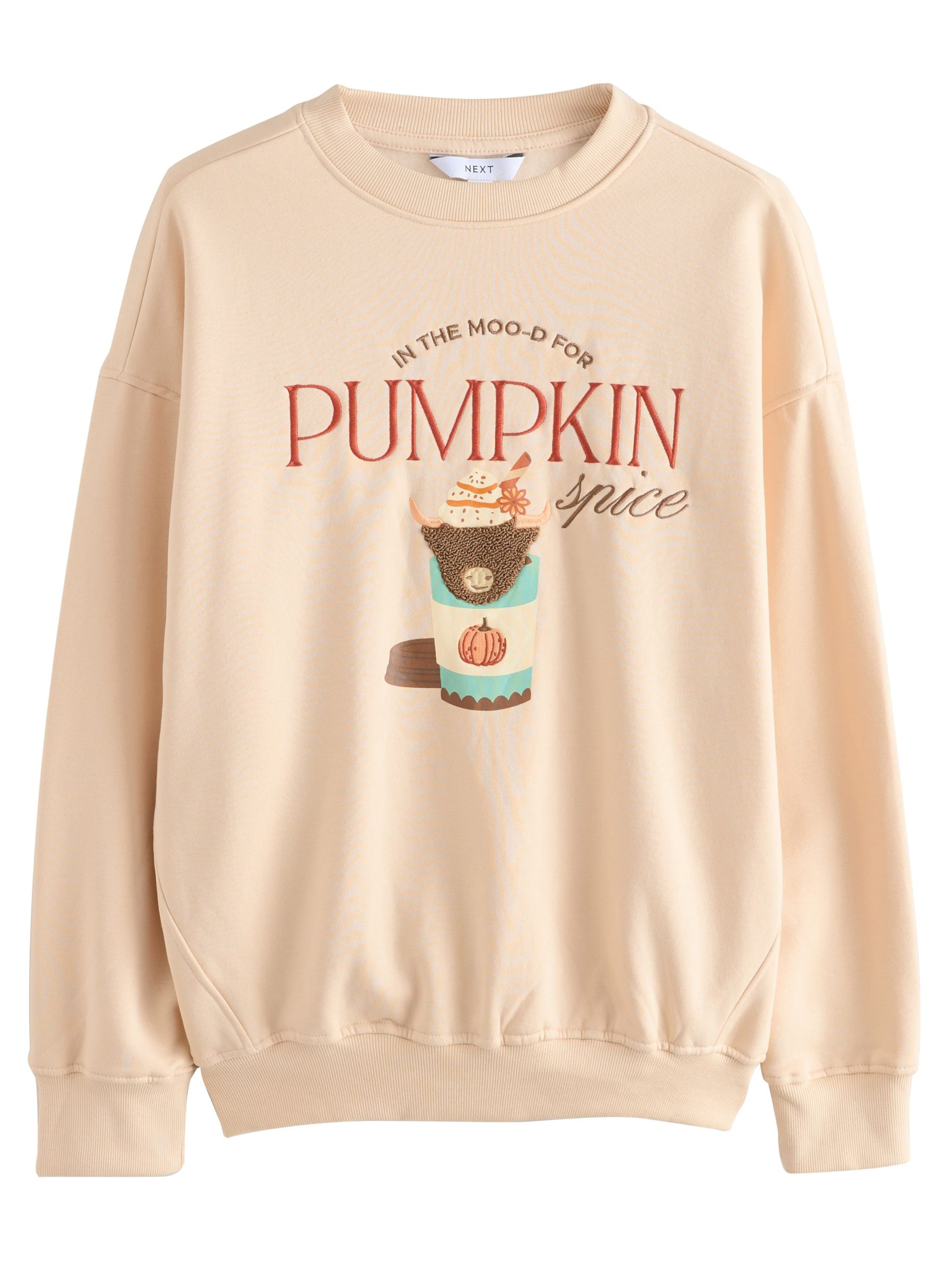 Next Sweat-shirt en beige / mélange de couleurs, Vue avec produit