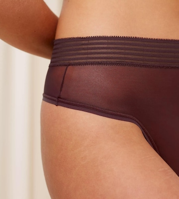 TRIUMPH - Tanga 'Tempting Sheer' em castanho