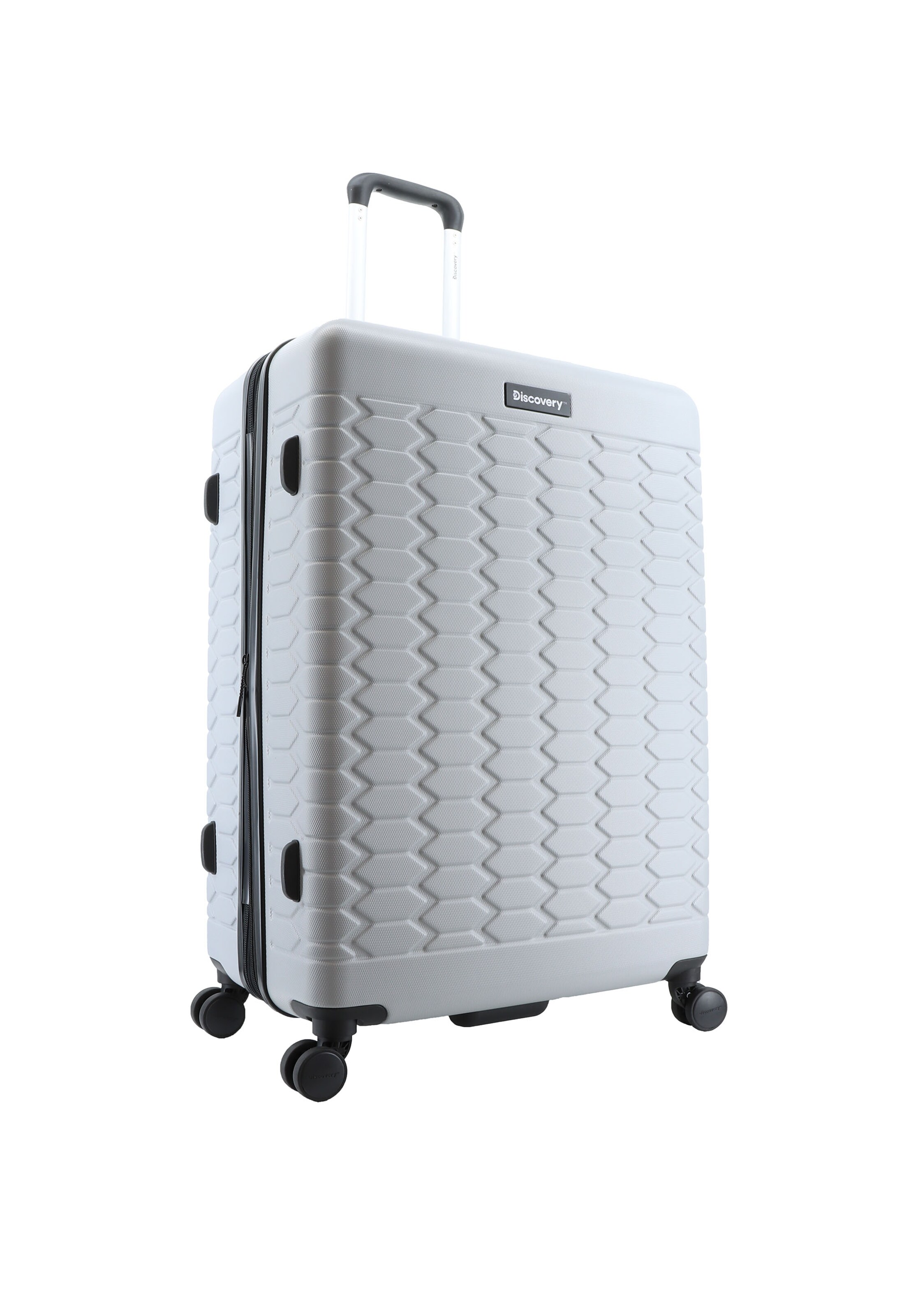 Discovery Suitcase Set 'REPTILE' in Silver