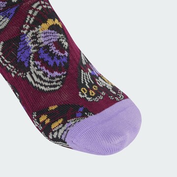 ADIDAS SPORTSWEAR Спортивные носки 'Adidas x Farm' в Красный