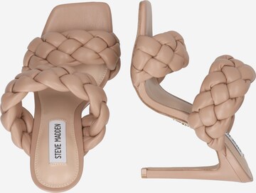 STEVE MADDEN Pantofle 'KENLEY' – béžová