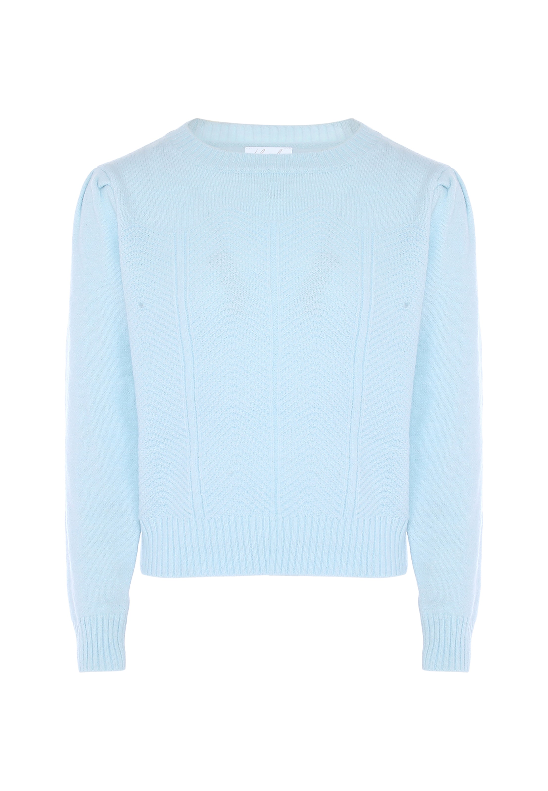 mėlyna BLONDA Megztinis: priekis