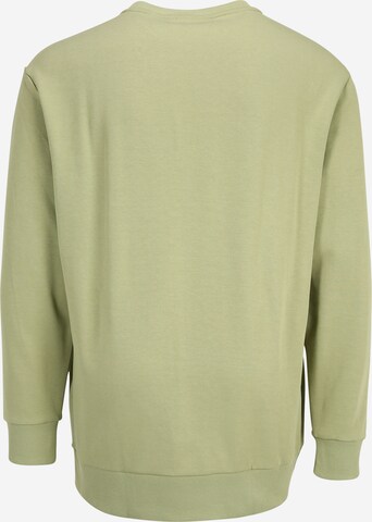 Calvin Klein Big & Tall Sweatshirt in Green