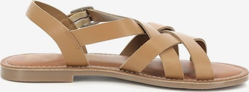 Kickers Strap Sandals in Brown