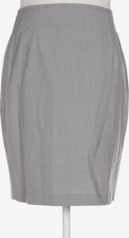 HIRSCH Skirt in XL in Grey: front