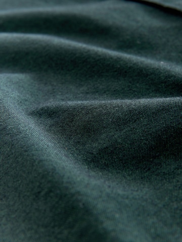 Next Regular fit Srajca | zelena barva