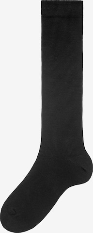 H.I.S Socks in Black: front