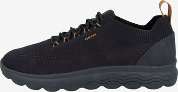 GEOX Sneakers laag 'Spherica' in Blauw