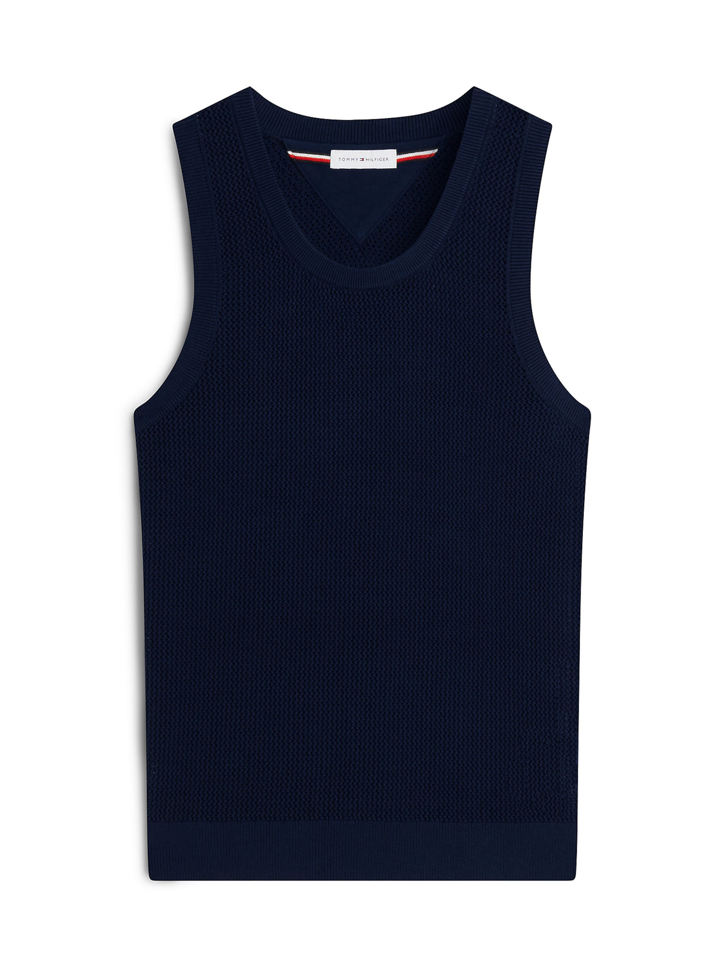 TOMMY HILFIGER Sweater in Blue: front