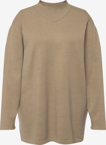 Ulla Popken Sweater in Brown: front