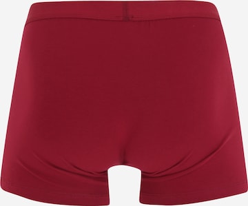 ABOUT YOU Boxer shorts 'Mario' in Red