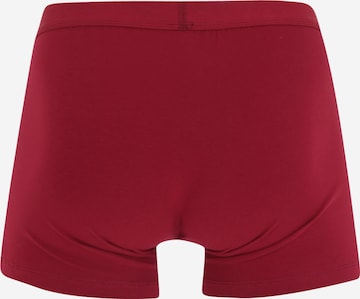 ABOUT YOU - Calzoncillo boxer 'Mario' en rojo