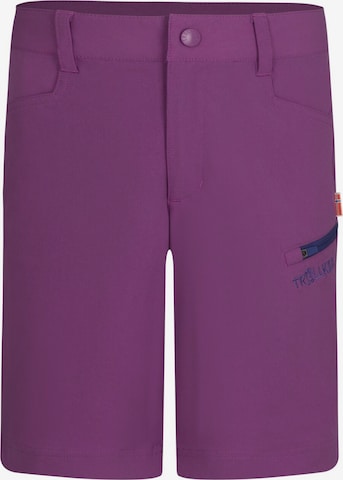 TROLLKIDS Workout Pants in Purple: front