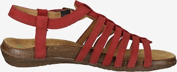 EL NATURALISTA Strap Sandals in Red