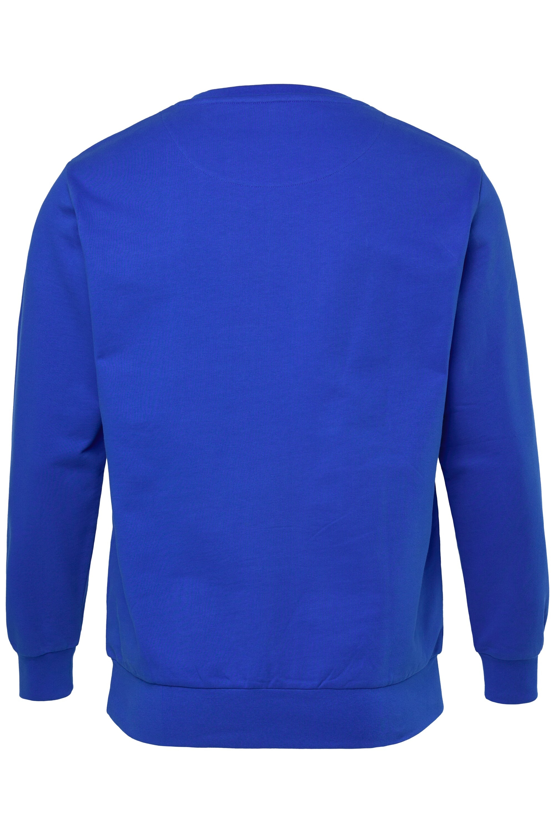 Men Plus Sweatshirt in Blue