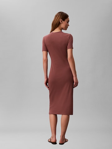 Calvin Klein Jeans Kleid in Braun
