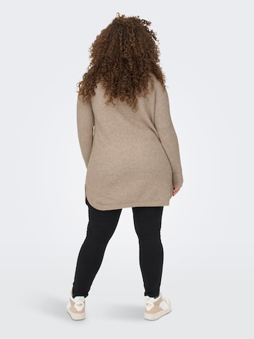 ONLY Carmakoma Sweater 'Fia Katia' in Brown