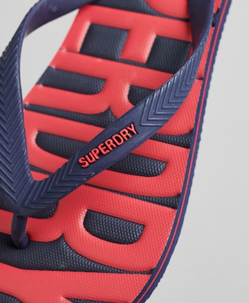 Superdry Teenslippers in Blauw