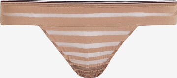 TOMMY HILFIGER Thong in Brown: front