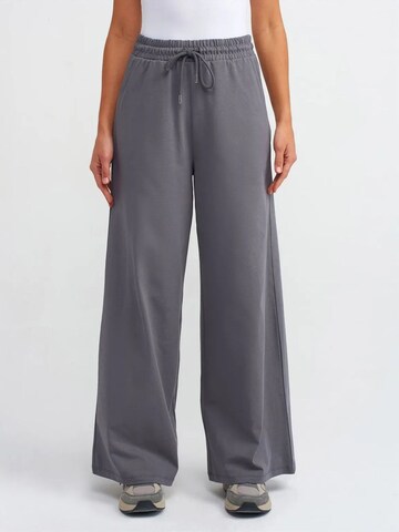 Dilvin Wide leg Pants 'Hose' in Grey