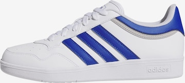 ADIDAS SPORTSWEAR Sneaker 'Hoops 4.0' in Weiß: Vorderseite