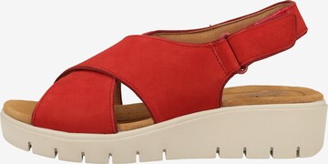 CLARKS Sandale in Rot