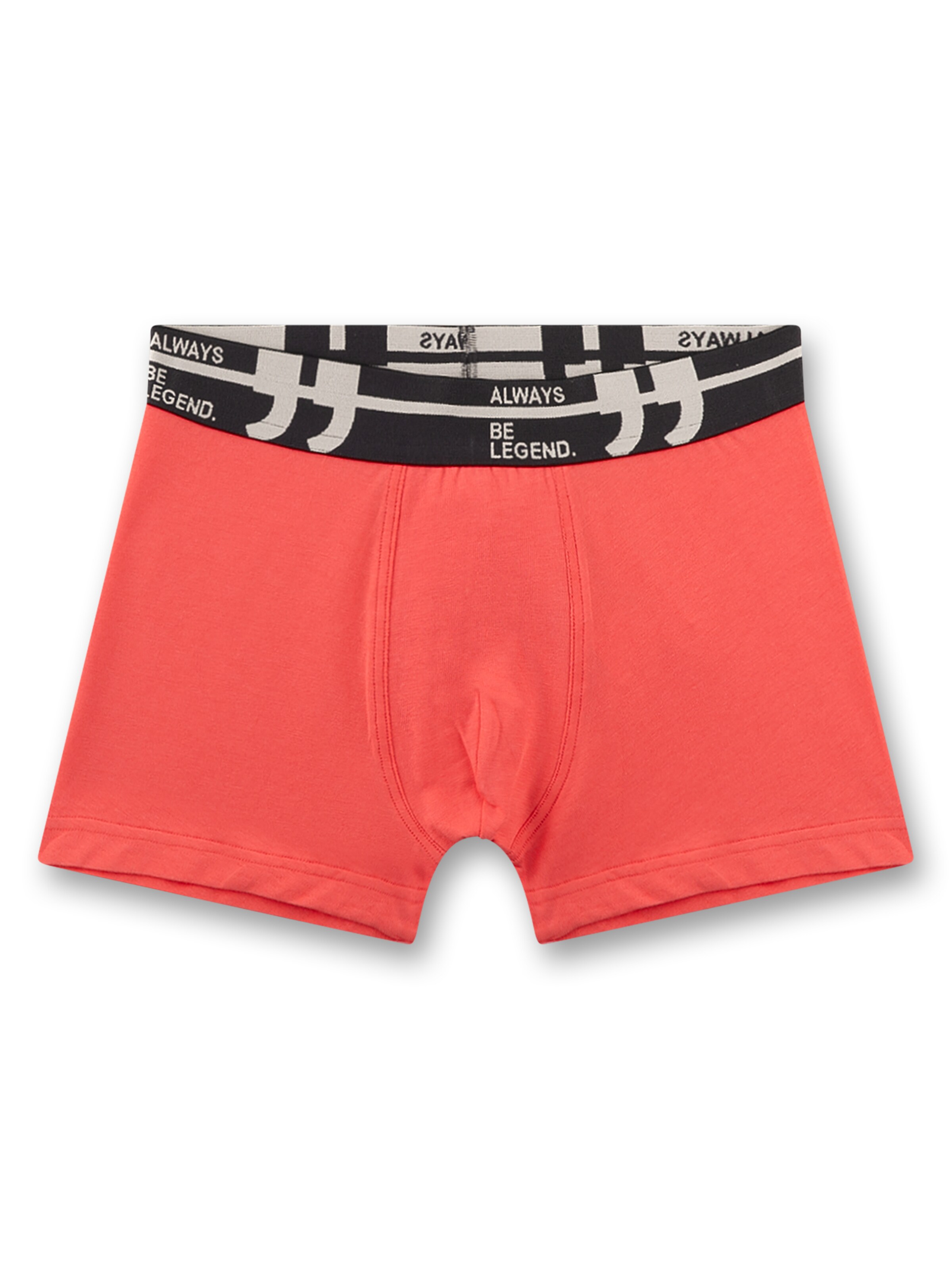 Sanetta Unterhose in Grau