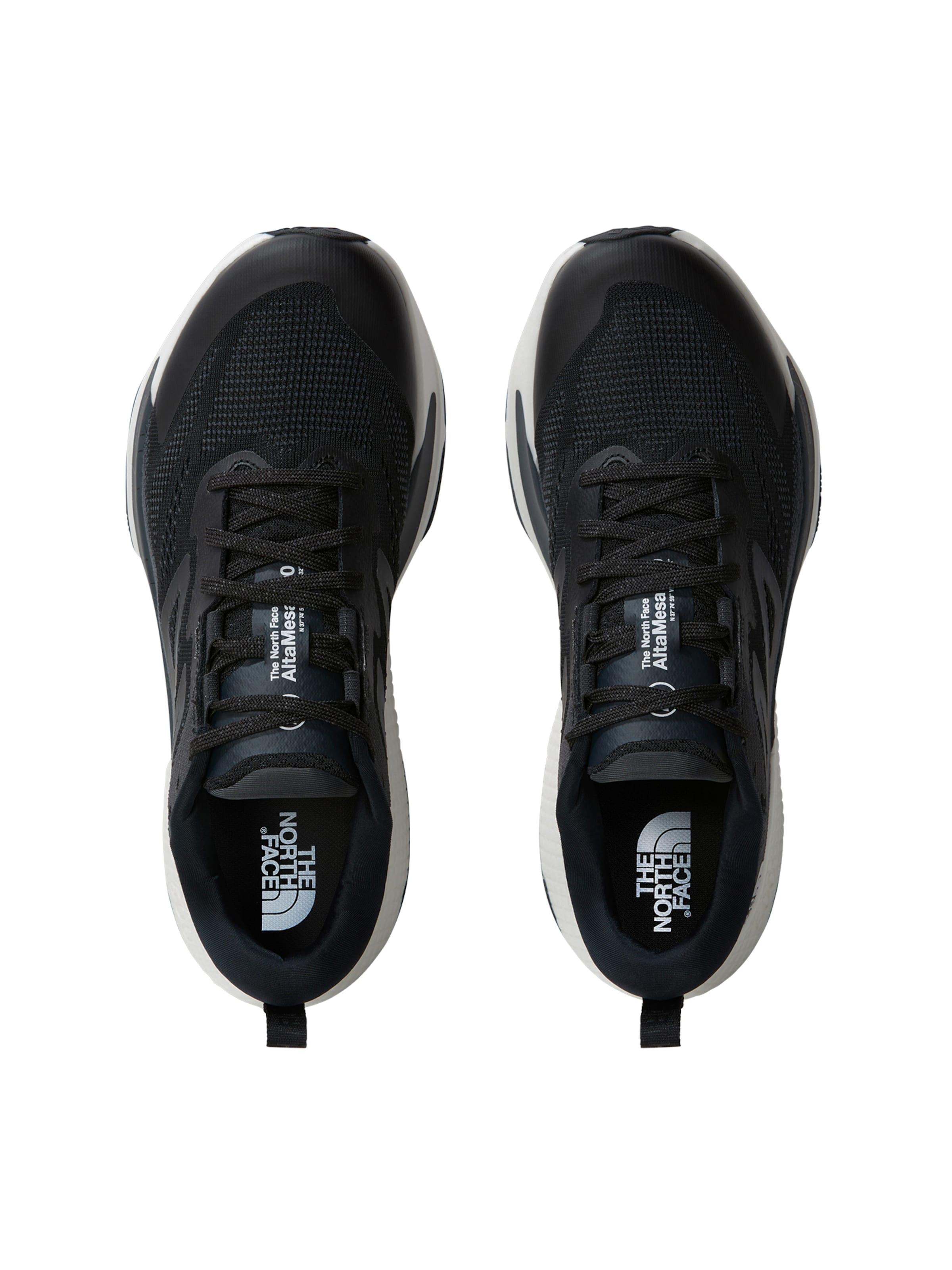 THE NORTH FACE Running shoe 'Altamesa 500' in Black