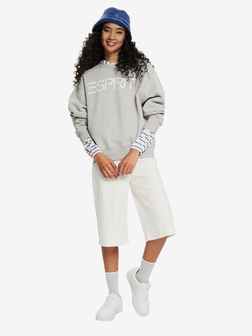 ESPRIT Sweatshirt in Grau