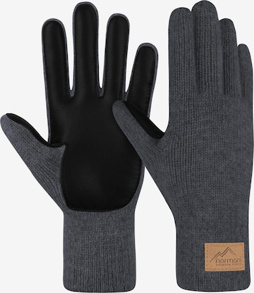 Gants 'Leanyer' normani en gris : devant