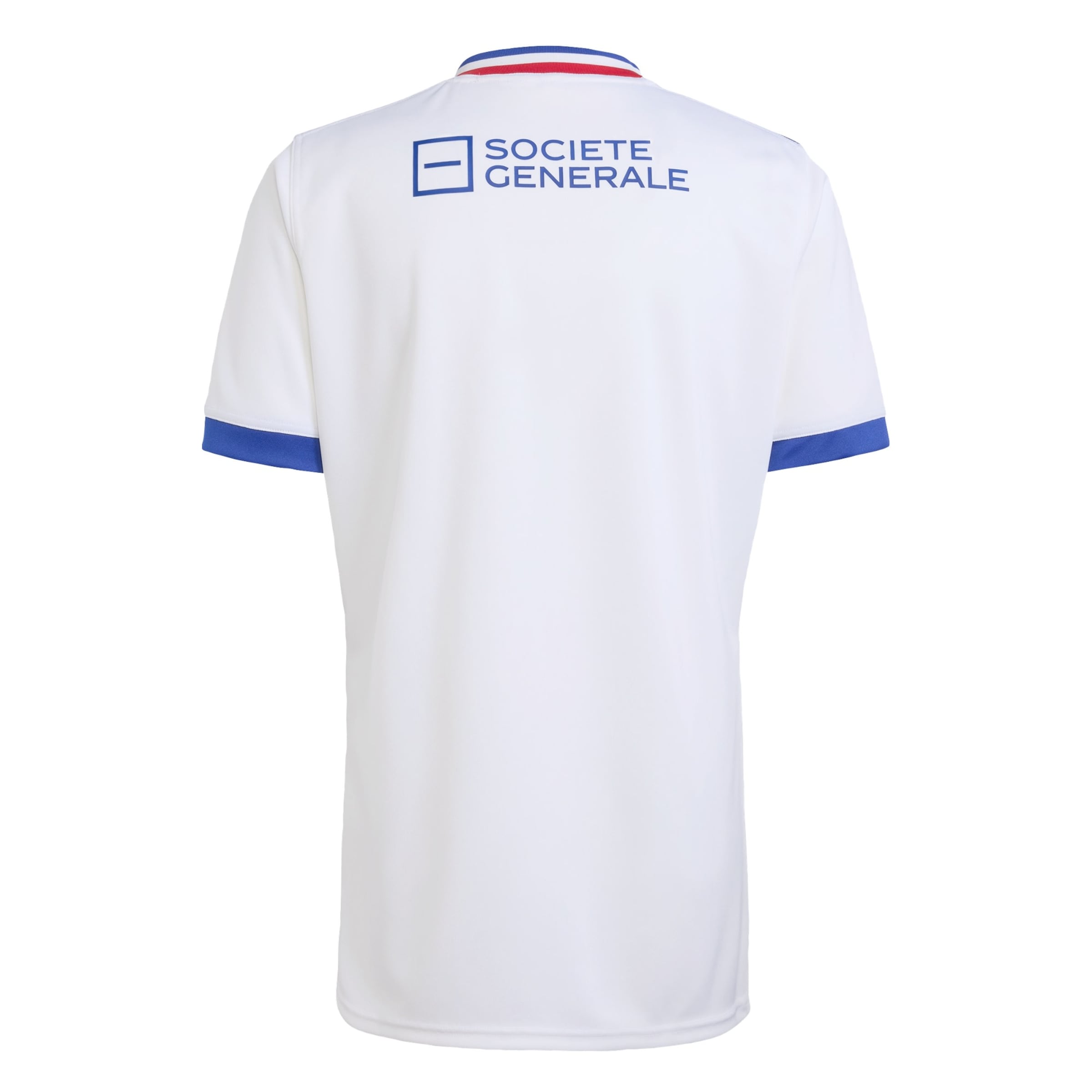 Maglia trikot 'Frankreich Rugby' di ADIDAS PERFORMANCE in bianco
