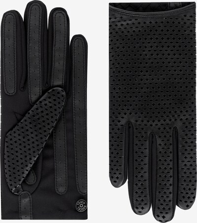 Roeckl Fingerhandschuhe in schwarz, Produktansicht