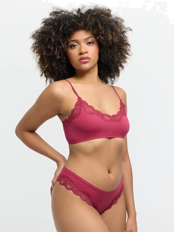Bustino Reggiseno 'Lace Bralette' di cfab in rosa