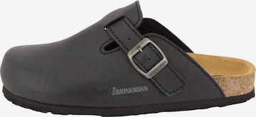 DR. BRINKMANN Clogs 'Nerpio' in Blau: Vorderseite