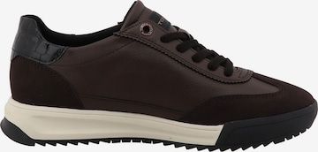 TOM TAILOR Sneaker in Braun: Vorderseite