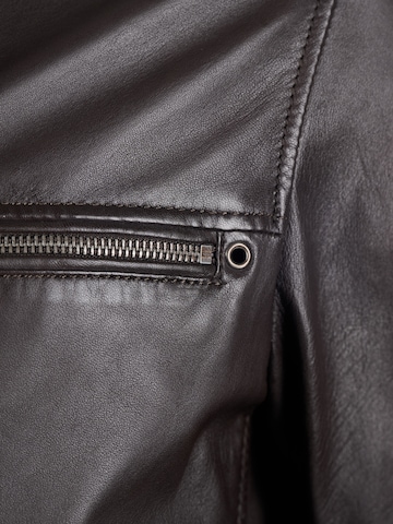 JCC Tussenjas in Bruin