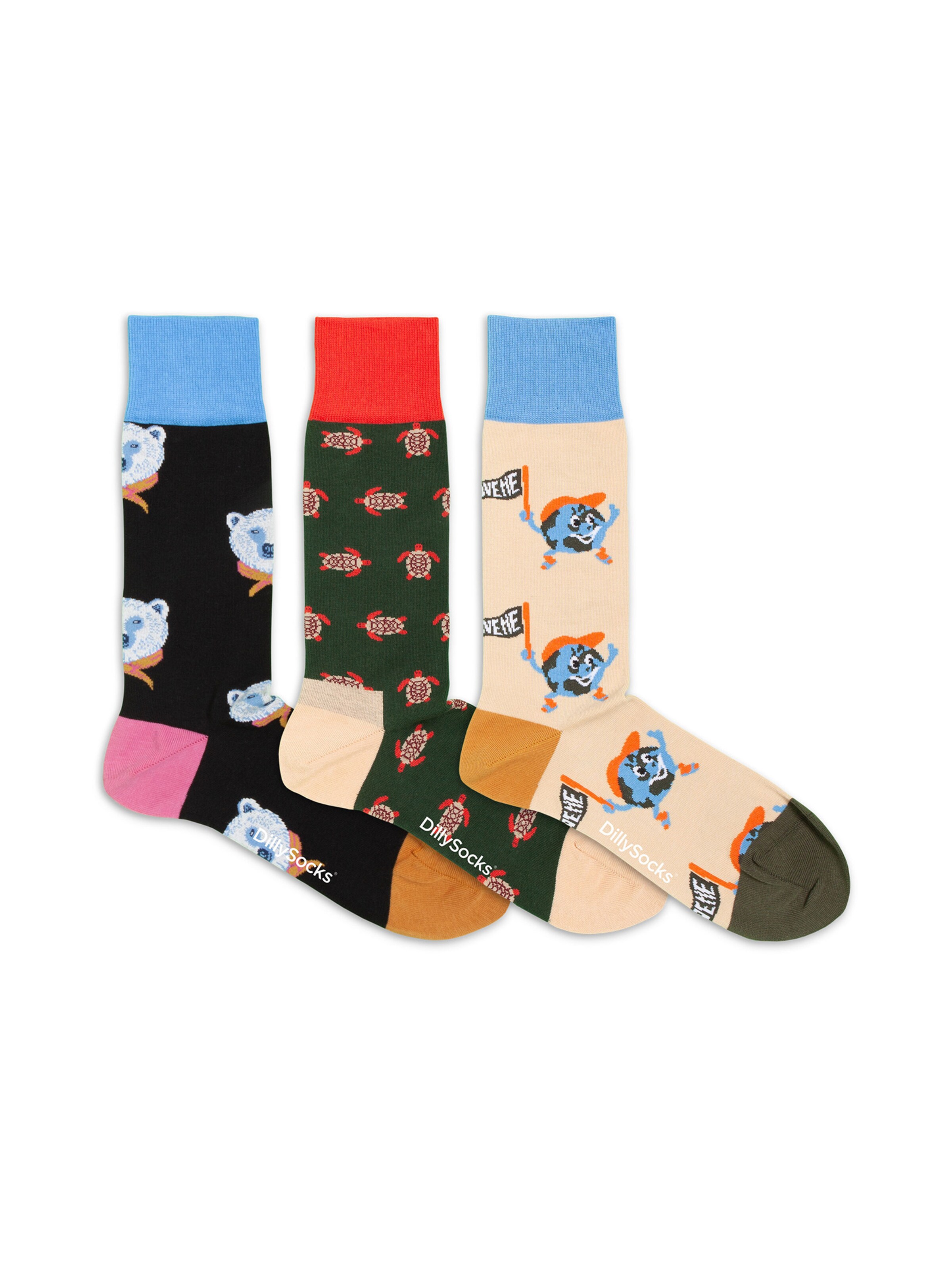 DillySocks Socken 'Around the World' in Mischfarben: Vorderseite