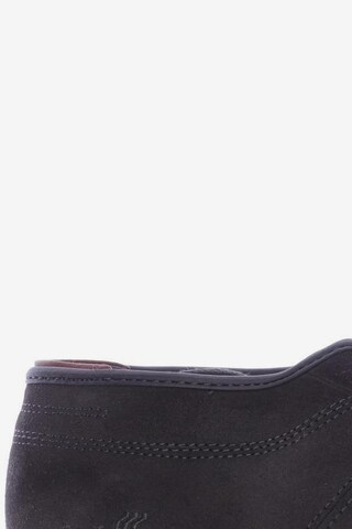 BOXFRESH Sneakers & Trainers in 41 in Black