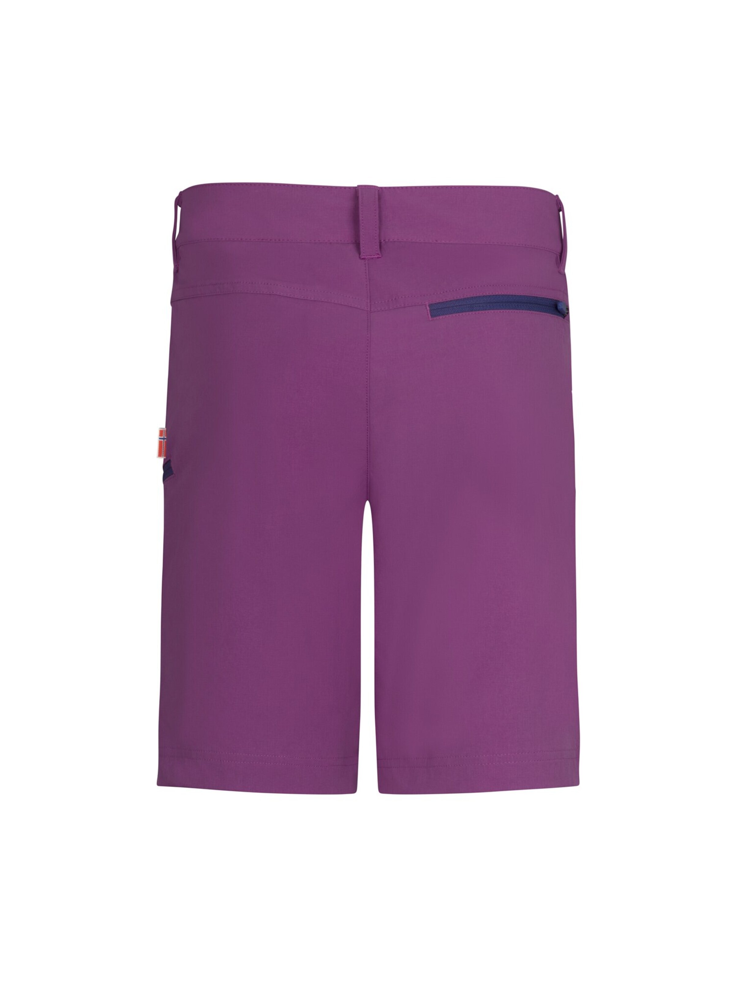 TROLLKIDS Regular Workout Pants in Purple