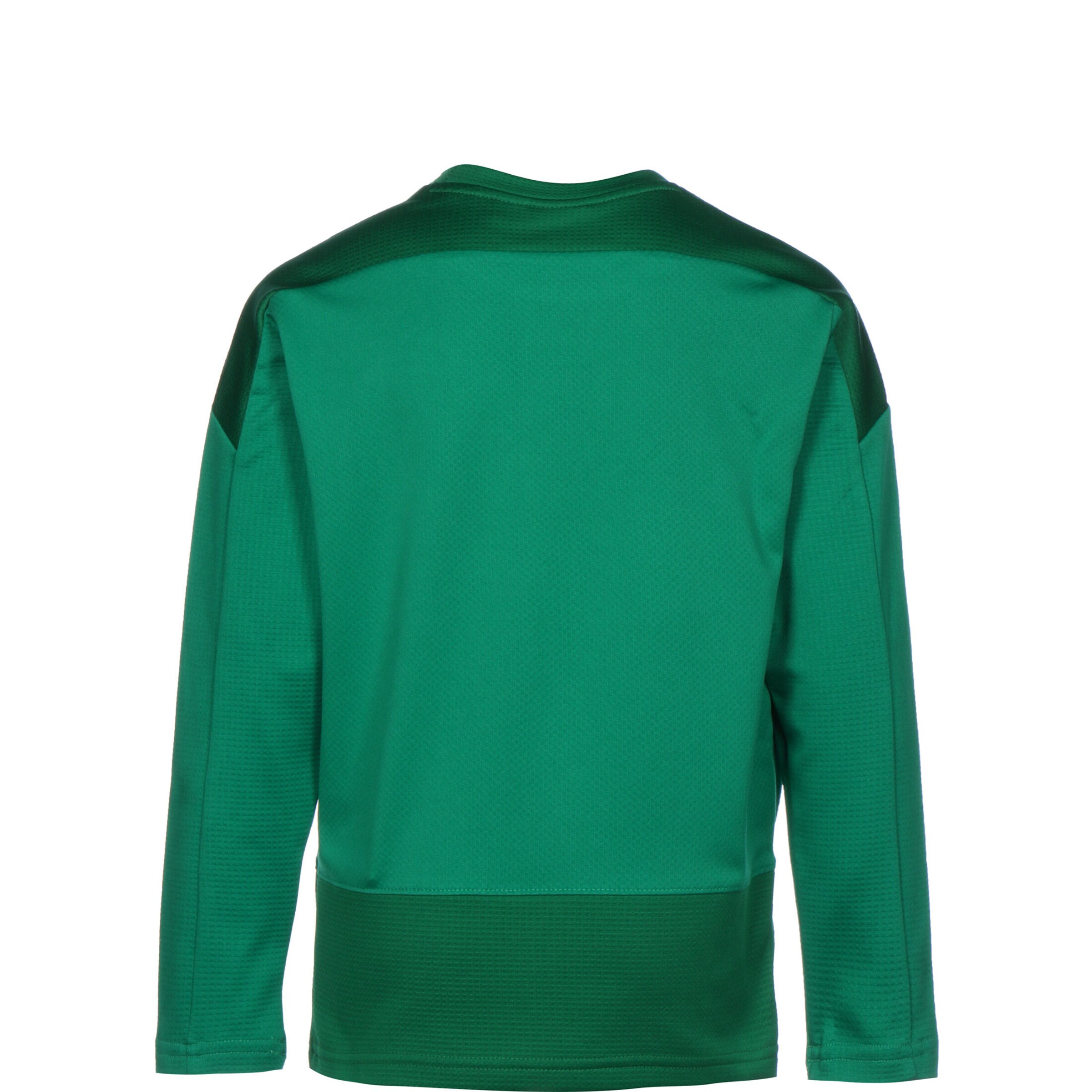 PUMA Sportief sweatshirt 'Team Goal 23' in Groen