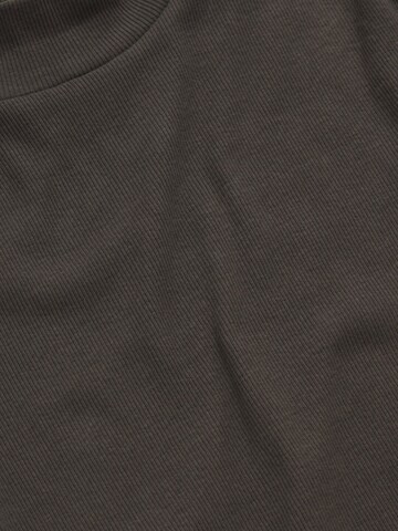 T-shirt Cellbes of Sweden en marron